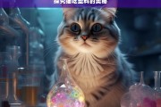 探究猫吃塑料的奥秘，猫为何吃塑料之探究