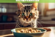 探究小猫不吃猫粮的原因，小猫为何不吃猫粮