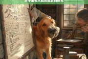 关于金毛犬脸长现象的探究，金毛犬脸长现象之探究