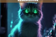 探索猫眼睛发光的奥秘，猫眼睛发光的奥秘探索