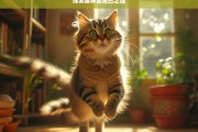 探索猫咪追尾巴之谜，猫咪为何追尾巴