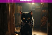 猫的角落秘密，猫的神秘角落