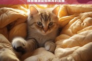 探索猫咪爱钻被窝的奥秘，猫咪为何爱钻被窝