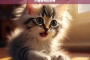 小猫舔毛的奥秘，小猫舔毛背后的奥秘