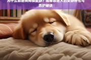 揭秘泰迪犬安静特性的原因与科学养护方法