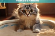 探究猫尿自己窝里的原因，猫尿在自己窝里的原因探究