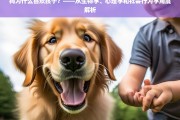 狗与孩子的特殊纽带，生物学、心理学与社会行为学的多维度解析