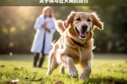 关于狗与狂犬病的探讨，狗与狂犬病之探讨