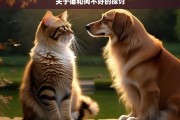 关于猫和狗不好的探讨，猫和狗的不良之处探讨