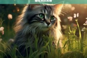 猫吃草的奥秘，猫吃草的奥秘探究