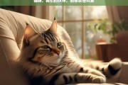 猫咪，我们的伙伴，而非攻击对象，猫咪，是伙伴，非攻击对象