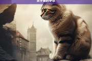 关于猫的争议，猫引发的争议探讨