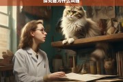 探究猫为什么叫猫，猫之名的由来探究