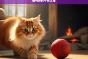 猫与球的不解之缘，猫与球，奇妙的不解之缘