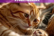 关于母猫吃小猫现象的探究，母猫吃小猫现象之探究