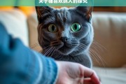 关于猫喜欢抓人的探究，猫喜欢抓人的原因探究