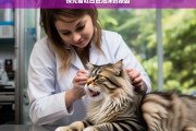 探究猫吐白色泡沫的原因，猫吐白色泡沫原因探究