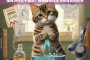 猫咪为什么不喝水？揭秘猫咪饮水习惯背后的科学