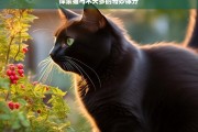 探索猫与木天蓼的奇妙缘分，猫与木天蓼的奇妙缘分探索