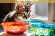 探究小猫不爱喝水之谜，小猫为何不爱喝水？