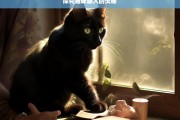 探究猫咪舔人的奥秘，猫咪舔人奥秘探究