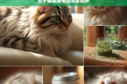 关于猫咪掉毛的深度剖析，猫咪掉毛的深度剖析