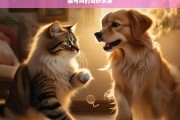 猫与狗的奇妙关系，猫与狗，奇妙的伙伴关系