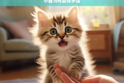 小猫为何爱咬手指，小猫爱咬手指的原因