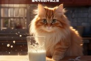 猫与牛奶的不解之缘，猫与牛奶的奇妙羁绊