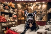 探究法国斗牛犬价格昂贵之谜，法国斗牛犬价格昂贵的原因探究