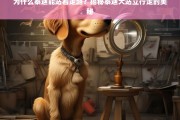 泰迪犬站立行走的奥秘，为何它们能像人类一样直立？