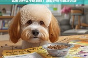 比熊犬不吃狗粮的原因分析及有效解决方法