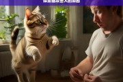 探索猫攻击人的原因，猫攻击人的原因探究