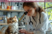 小猫为何易患猫瘟？——成因与预防全解析