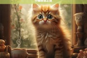 小猫感冒之谜，小猫为何感冒