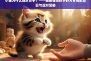 小猫咬手行为解析，原因揭秘与有效应对策略