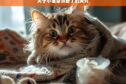 关于小猫胡须断了的探究，小猫胡须为何会断