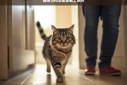 猫咪为何总爱跟着上厕所，猫咪总爱跟着上厕所的原因