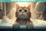 猫为何对主人洗澡感兴趣之探究，猫对主人洗澡感兴趣的原因探究