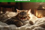 探究猫咪睡觉抽搐之谜，猫咪睡觉抽搐原因探究