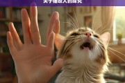 关于猫咬人的探究，探究猫咬人的原因与对策