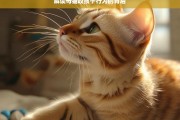 解读母猫咬孩子行为的背后，母猫为何咬孩子？解读其背后原因