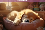 小狗的睡眠之谜，小狗睡眠之谜探究