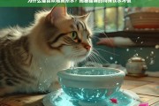 揭秘猫咪的特殊饮水习惯，为什么猫喜欢喝厕所水？