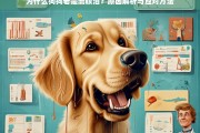 狗狗流眼泪的原因解析与应对方法