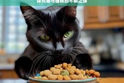 探究猫与猫粮的不解之缘，猫与猫粮的奇妙羁绊