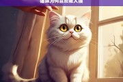 猫咪为何喜欢被人摸，猫咪喜欢被人摸的原因