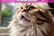 关于猫呼吸急促的探究，猫呼吸急促现象探究