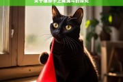 关于猫脖子上戴漏斗的探究，猫脖子戴漏斗现象探究