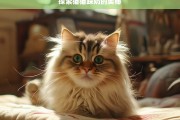 探索猫猫踩奶的奥秘，猫猫踩奶奥秘探索